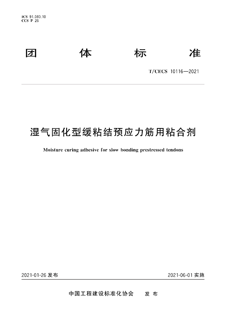 T/CECS 10116-2021 标准预览
