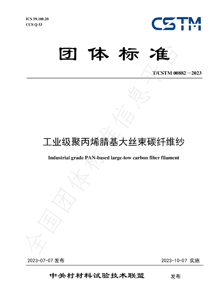 T/CSTM 00882-2023 标准预览