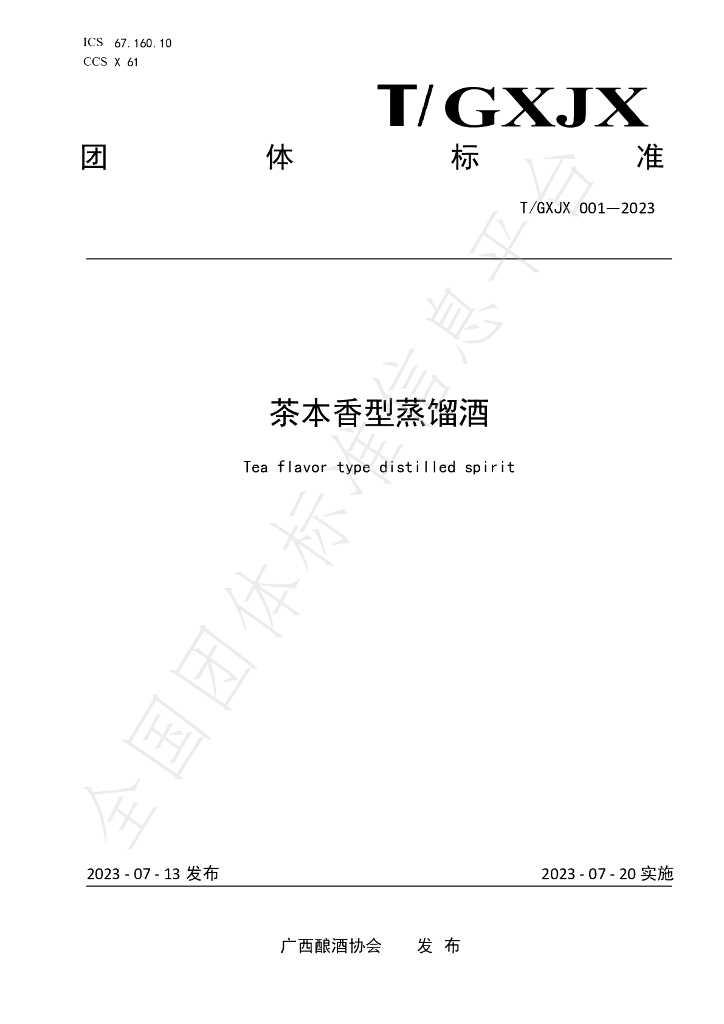 T/GXJX 001-2023 标准预览