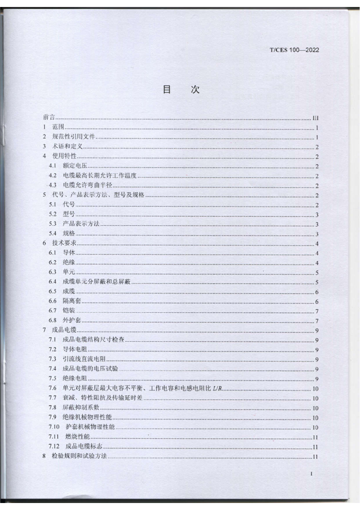 T/CES 100-2022 标准预览