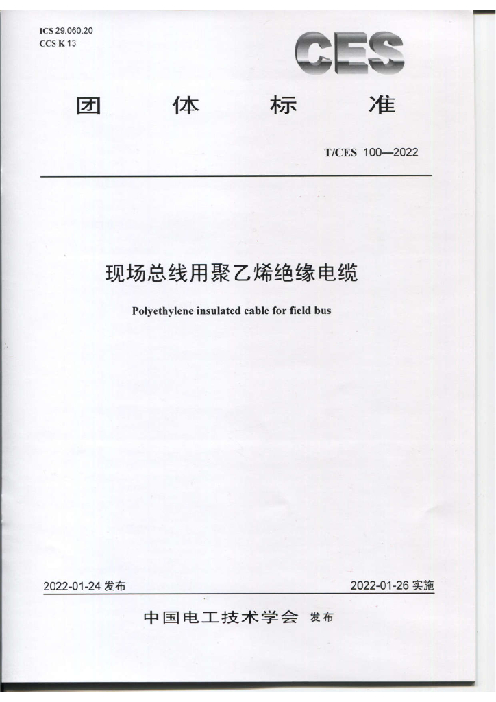 T/CES 100-2022 标准预览