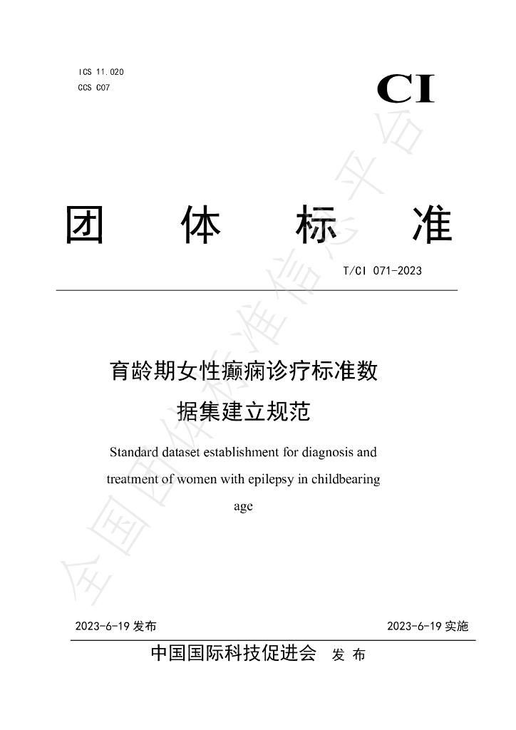 T/CI 071-2023 标准预览