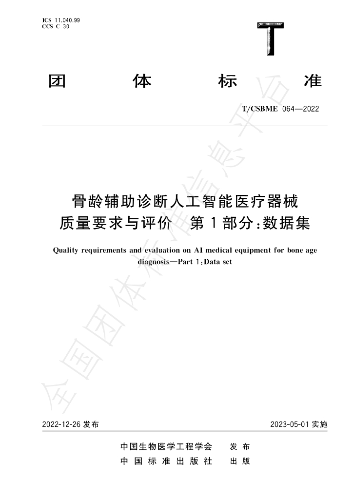 T/CSBME 064-2022 标准预览
