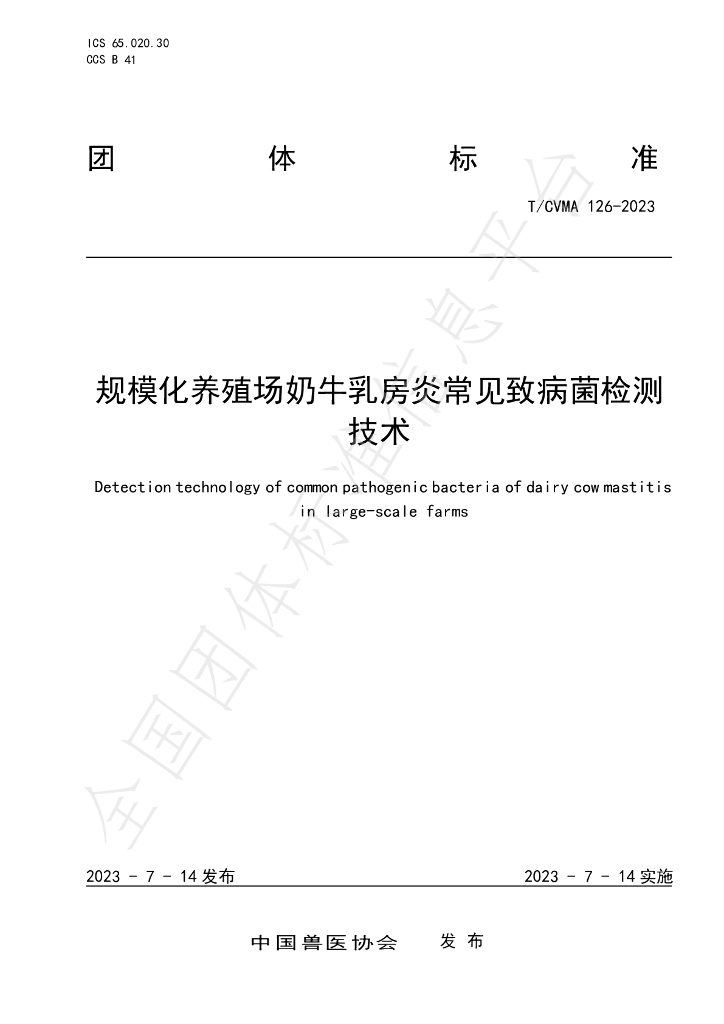 T/CVMA 126-2023 标准预览