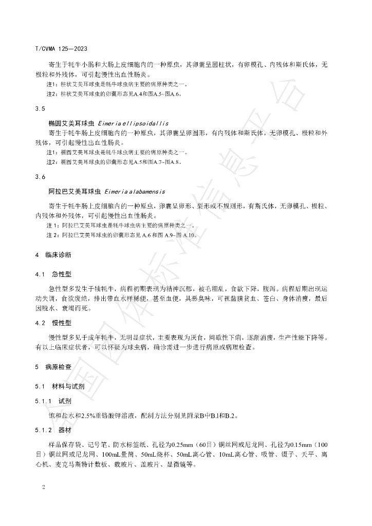 T/CVMA 125-2023 标准预览