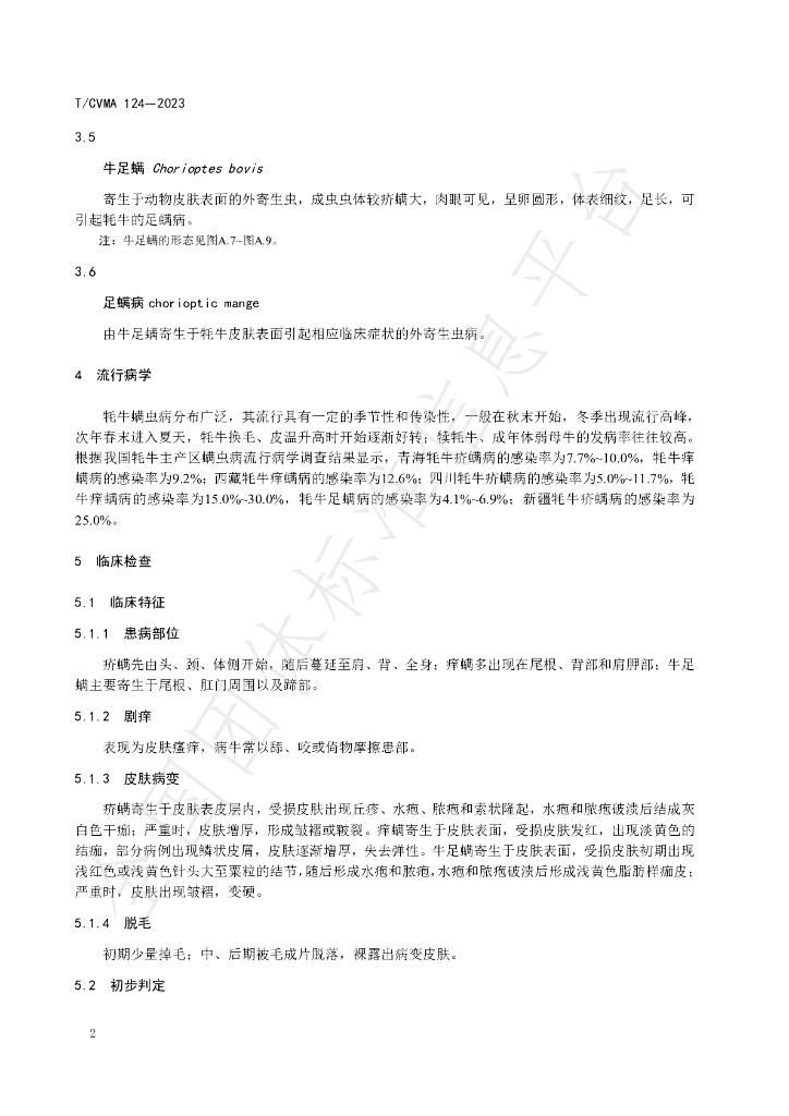 T/CVMA 124-2023 标准预览