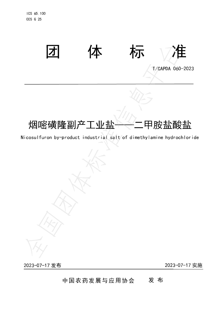 T/CAPDA 060-2023 标准预览