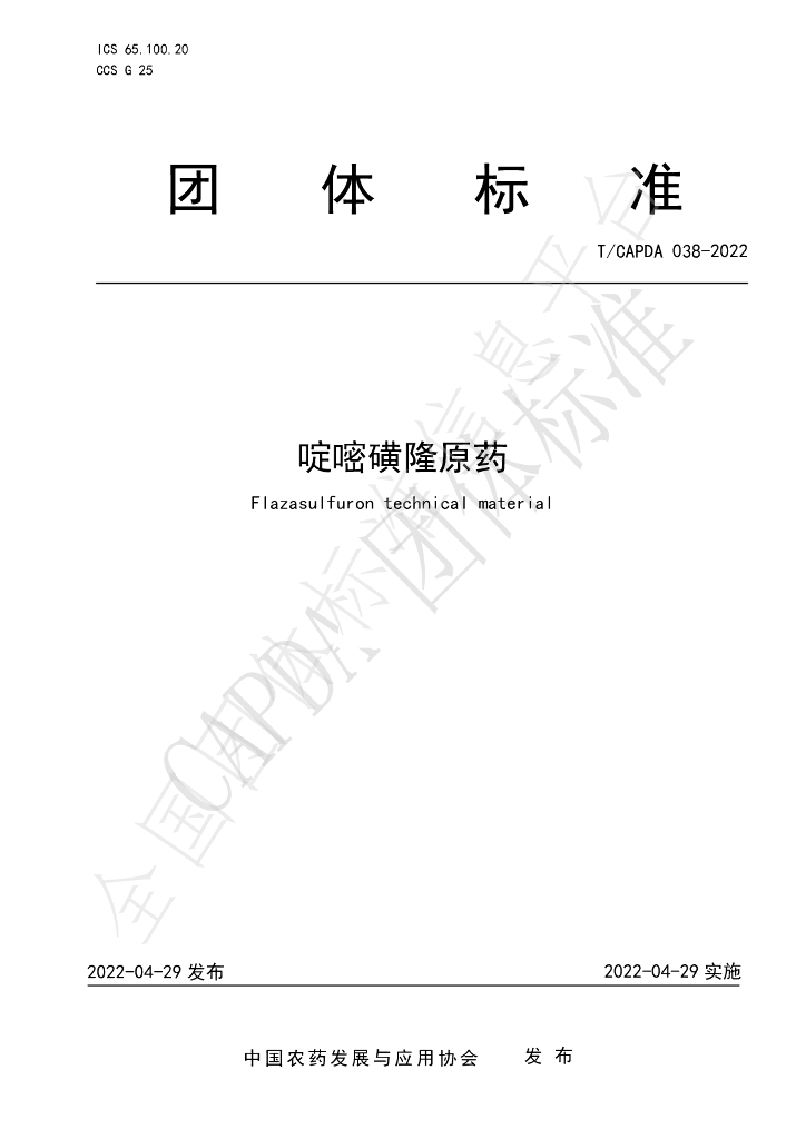 T/CAPDA 038-2022 标准预览