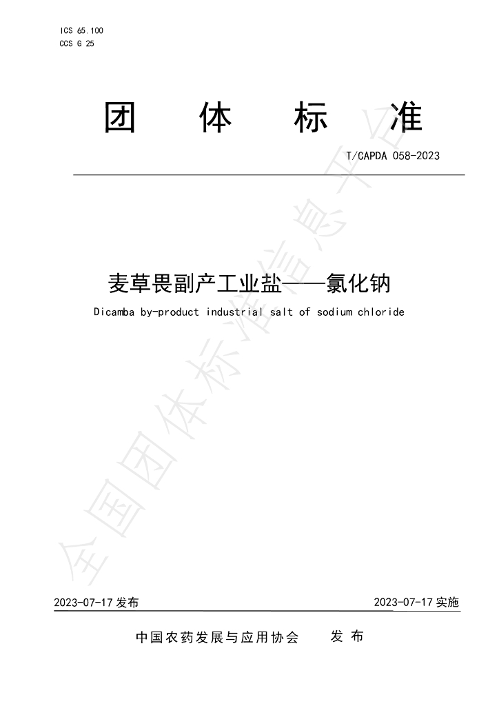 T/CAPDA 058-2023 标准预览