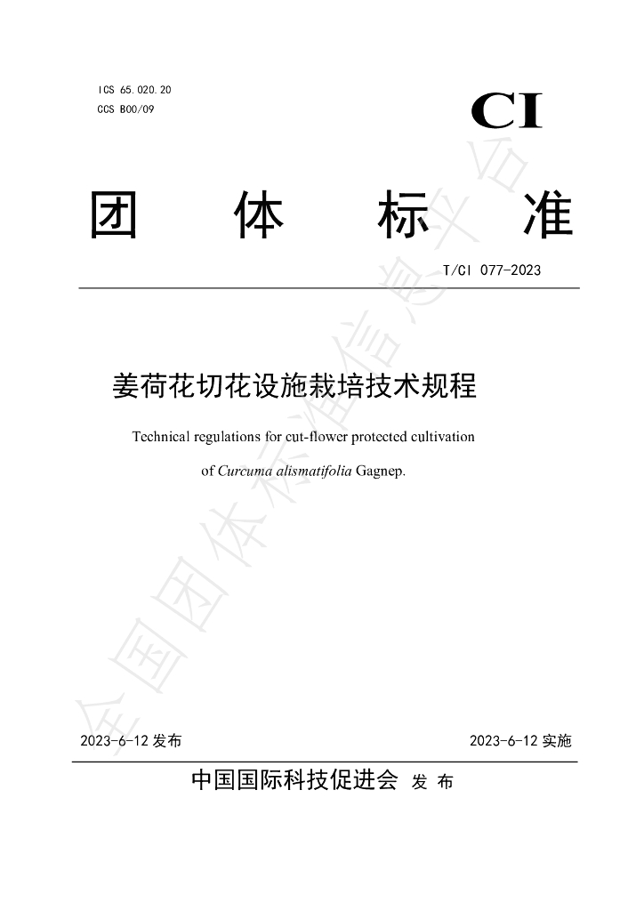 T/CI 077-2023 标准预览