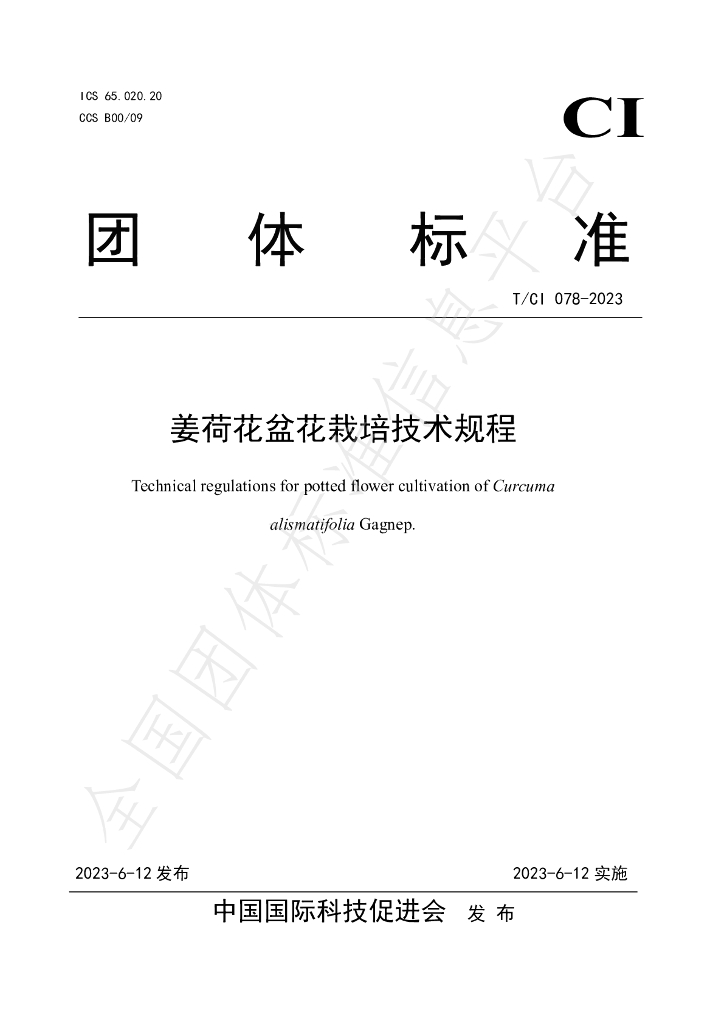 T/CI 078-2023 标准预览