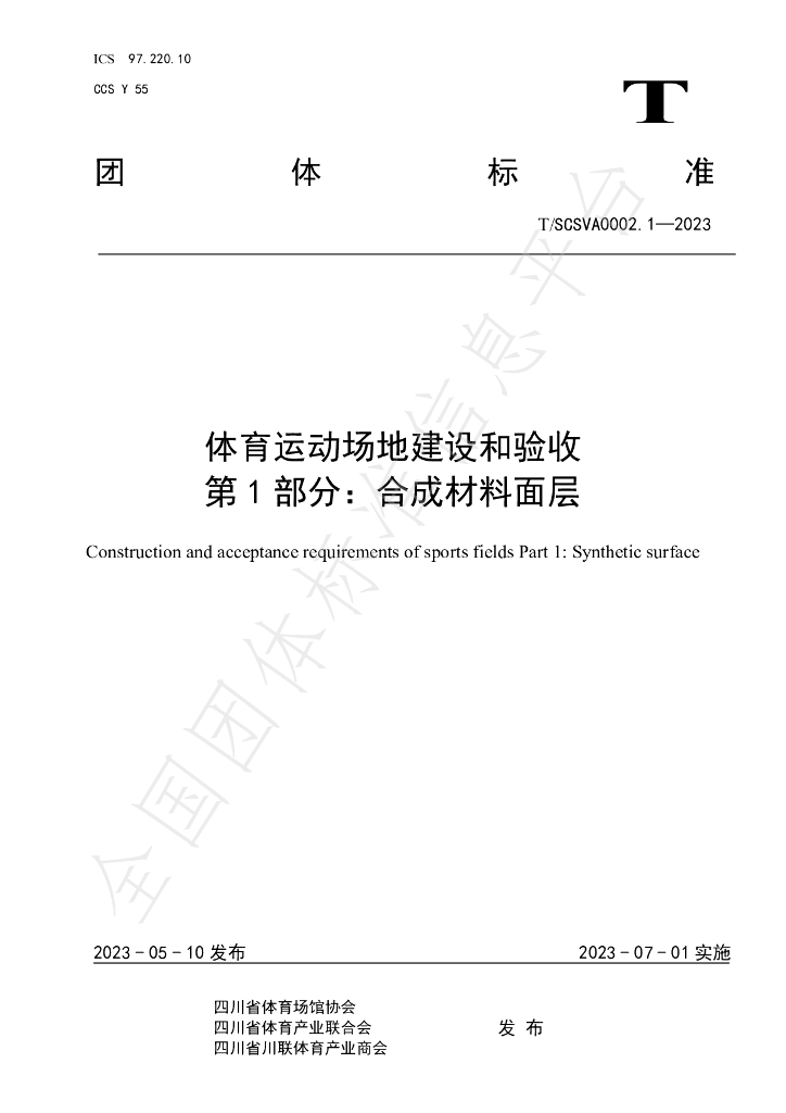 T/SCSVA 0002.1-2023 标准预览