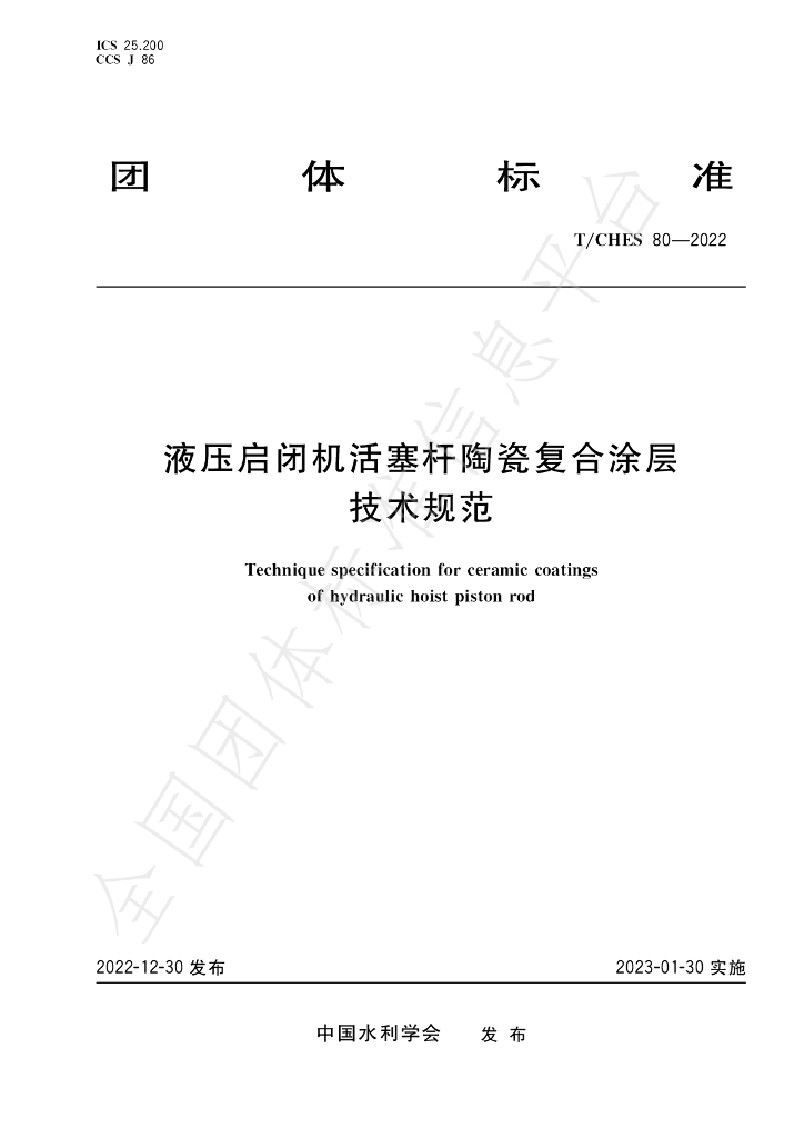 T/CHES 80-2022 标准预览