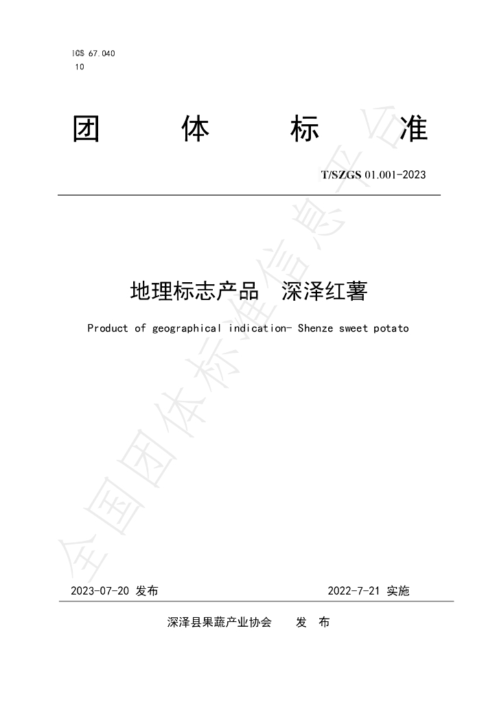 T/SZGS 01.001-2023 标准预览