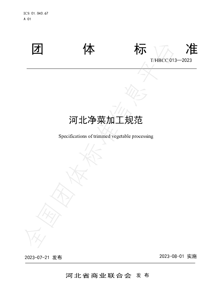 T/HBCC 013-2023 标准预览