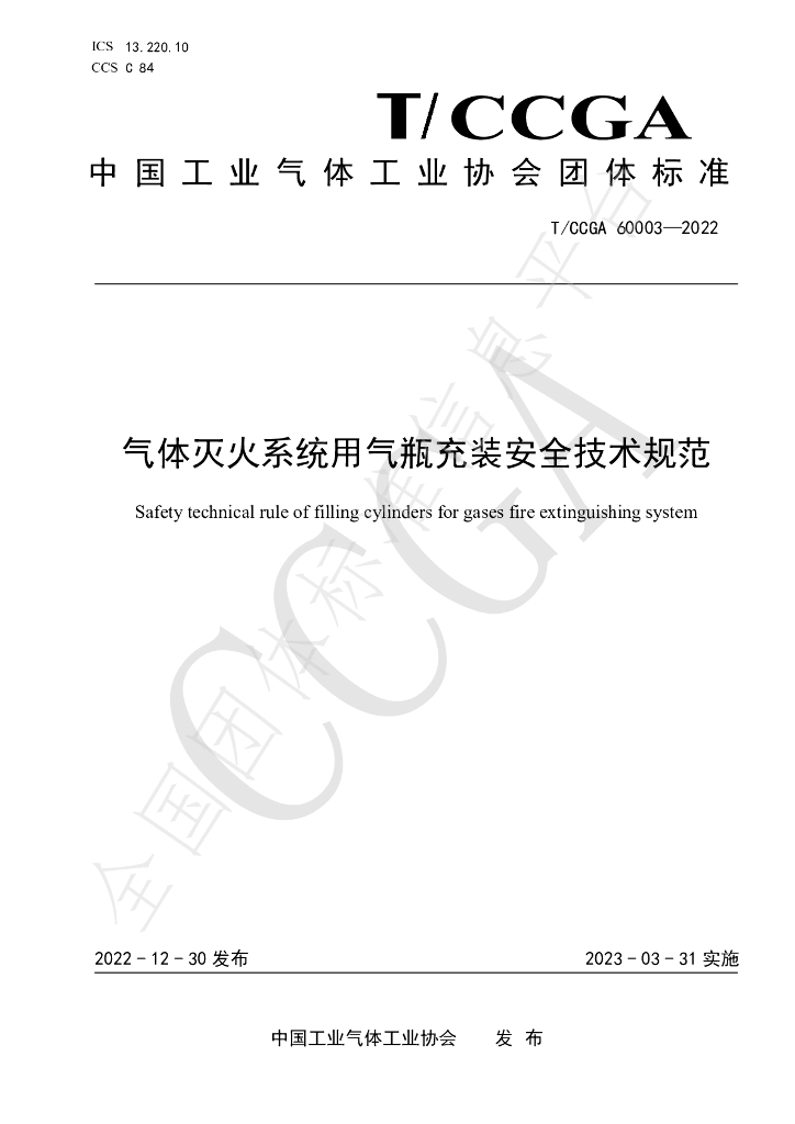 T/CCGA 60003-2022 标准预览