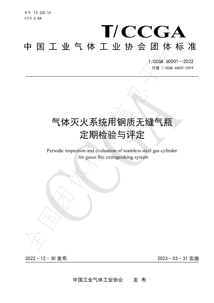 T/CCGA 60001-2022 标准预览
