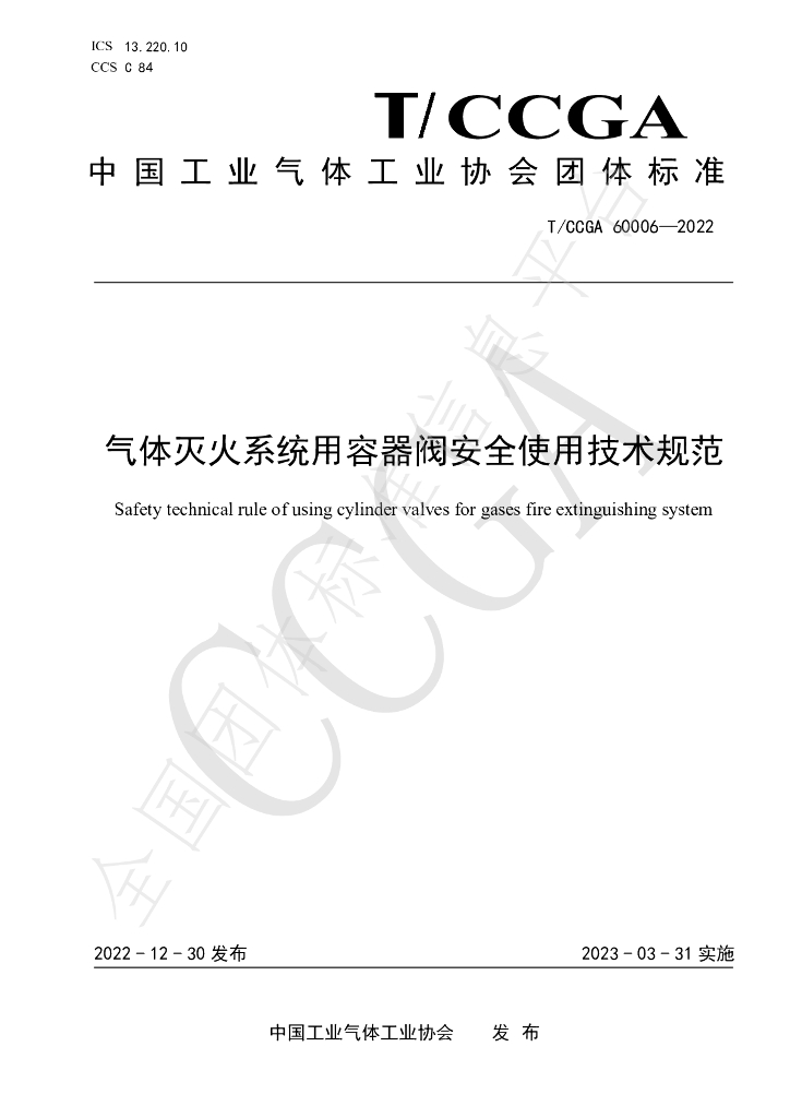 T/CCGA 60006-2022 标准预览