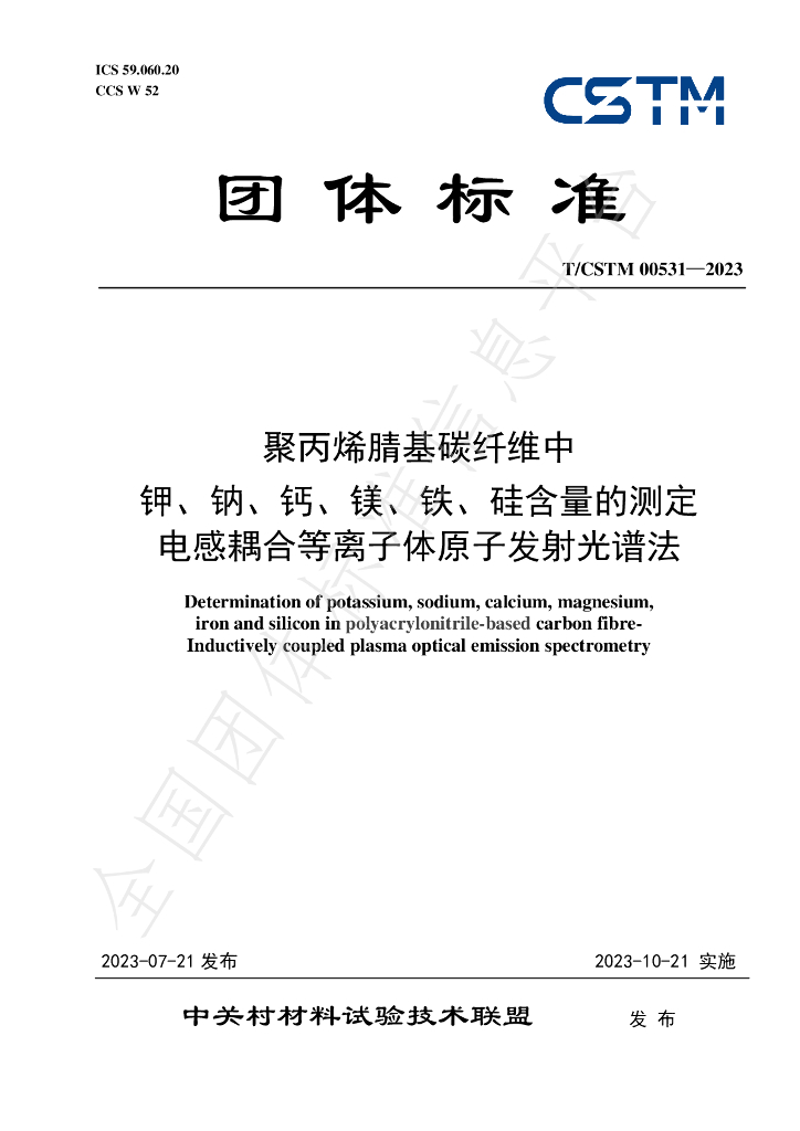 T/CSTM 00531-2023 标准预览