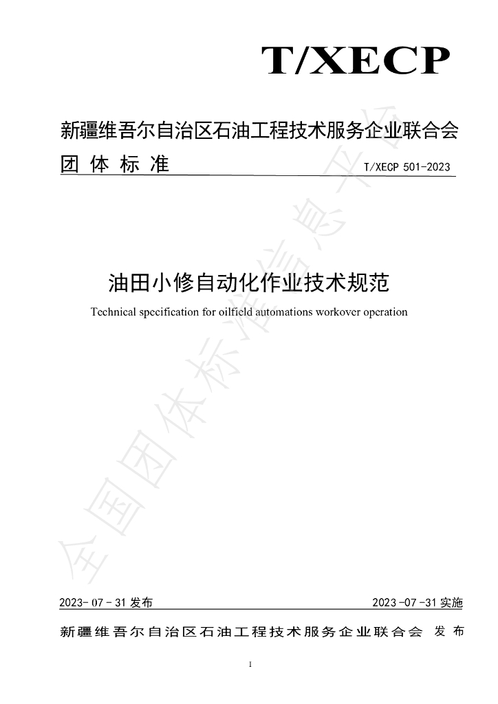 T/XECP 501-2023 标准预览