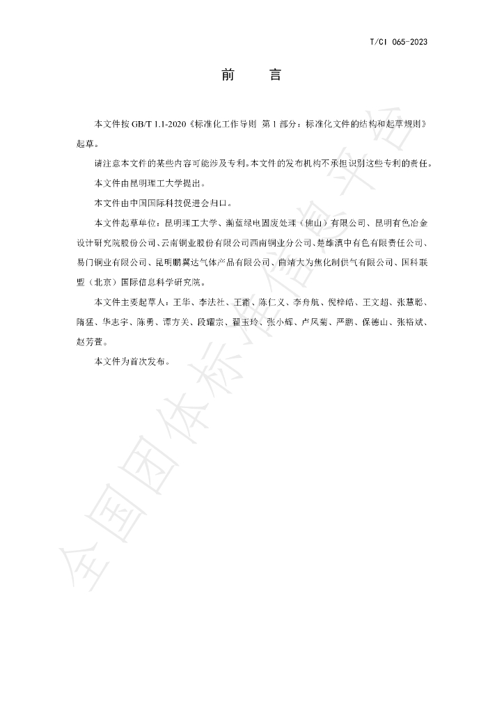T/CI 065-2023 标准预览