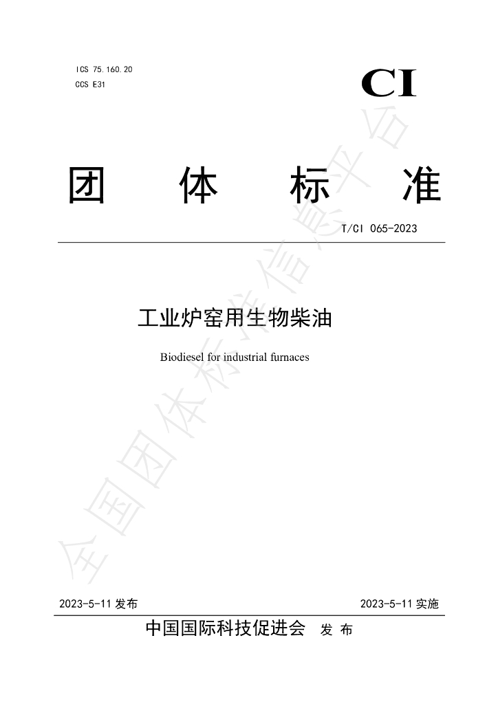 T/CI 065-2023 标准预览