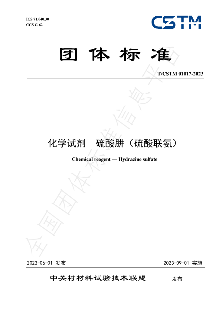 T/CSTM 01017-2023 标准预览