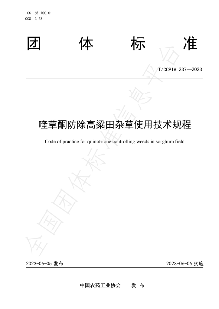 T/CCPIA 237-2023 标准预览