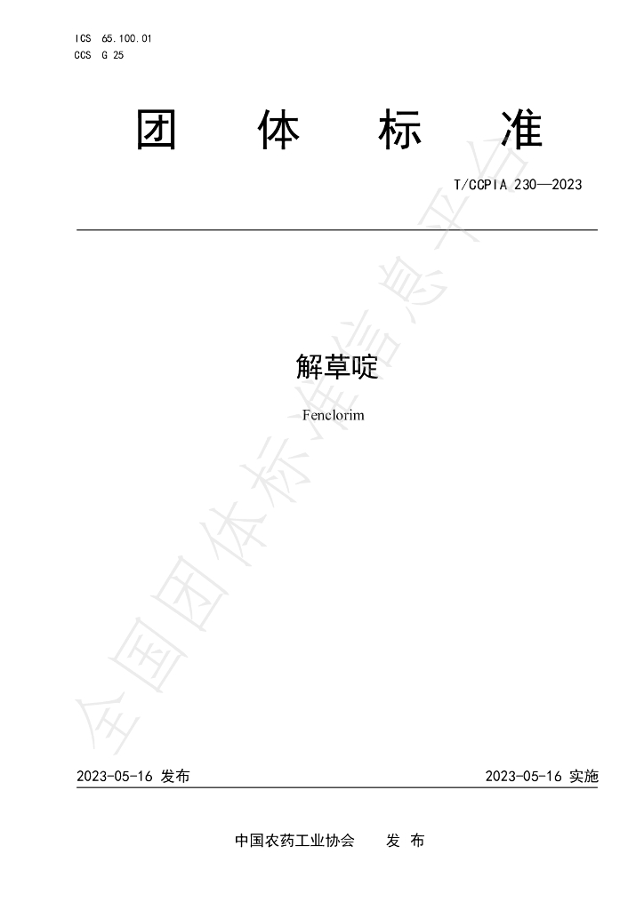 T/CCPIA 230-2023 标准预览