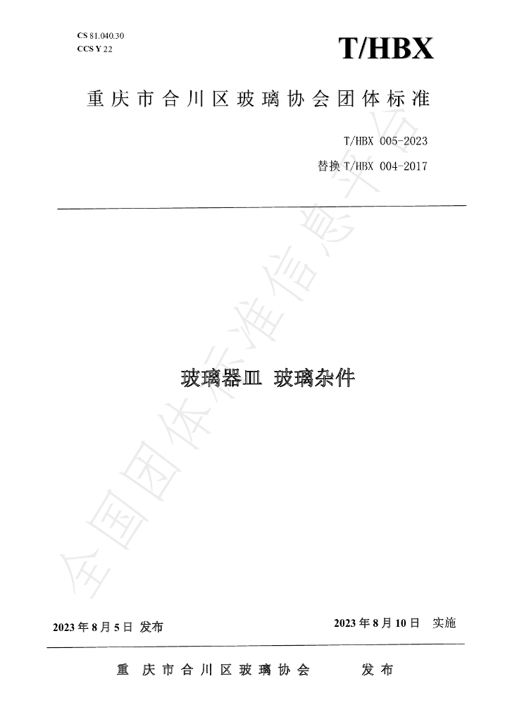 T/HBX 005-2023 标准预览