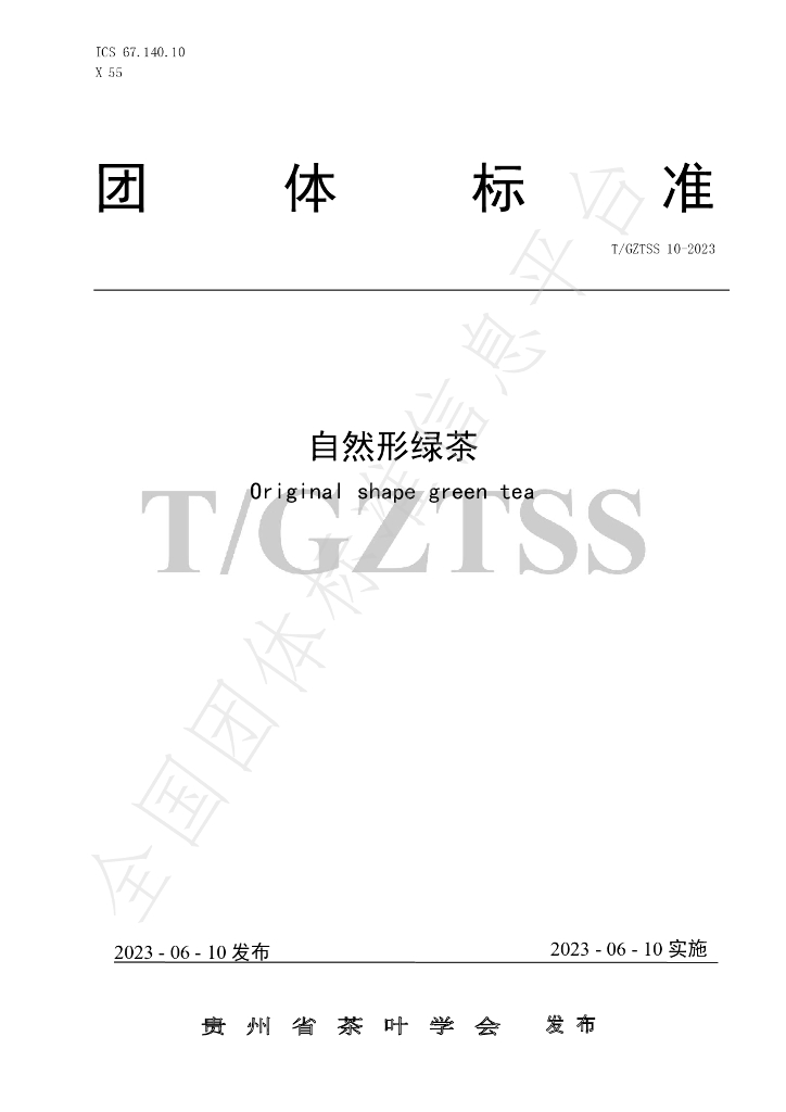 T/GZTSS 10-2023 标准预览