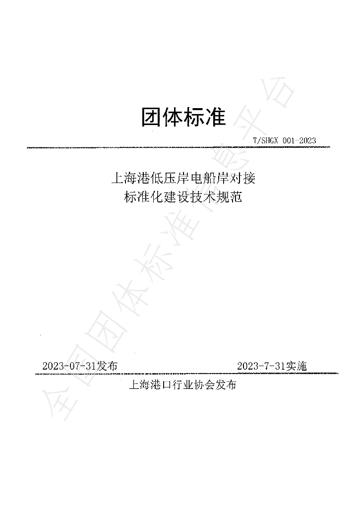 T/SHGX 001-2023 标准预览