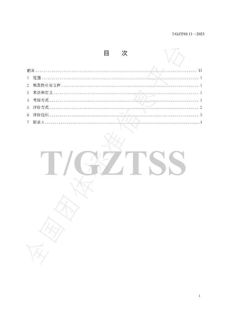 T/GZTSS 11-2023 标准预览