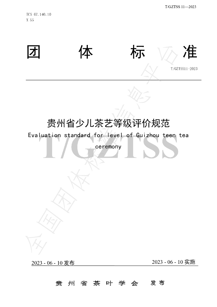 T/GZTSS 11-2023 标准预览
