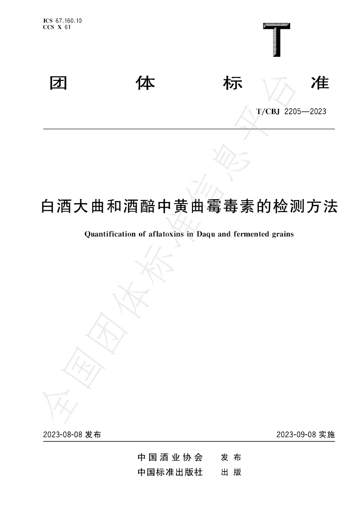 T/CBJ 2205-2023 标准预览