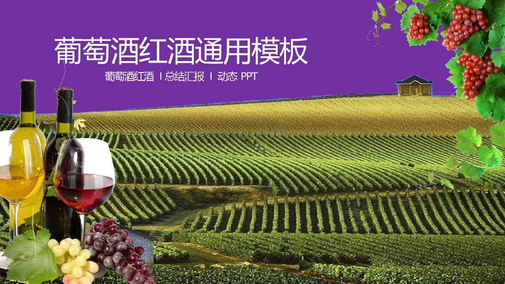 红酒酒文化模板之二十四