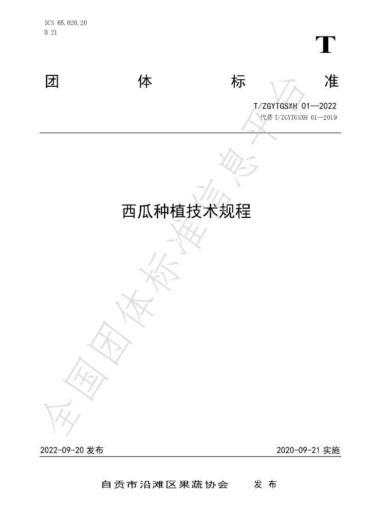 T/ZGYTGSXH 01-2022 标准预览