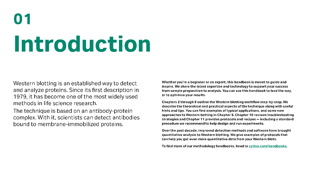 Cytiva思拓凡：Western Blotting原理与方法（英文版）_第7页