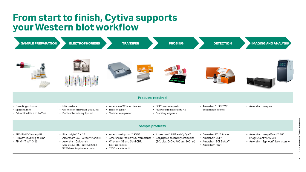 Cytiva思拓凡：Western Blotting原理与方法（英文版）_第9页