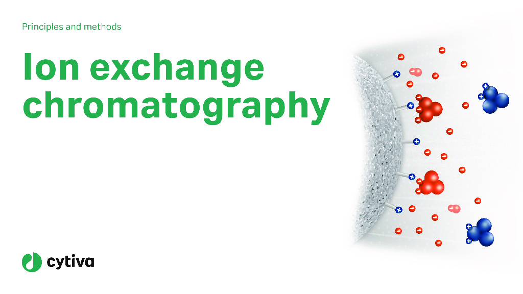 Cytiva思拓凡：离子交换层析(IEX)原理和方法（英文版）