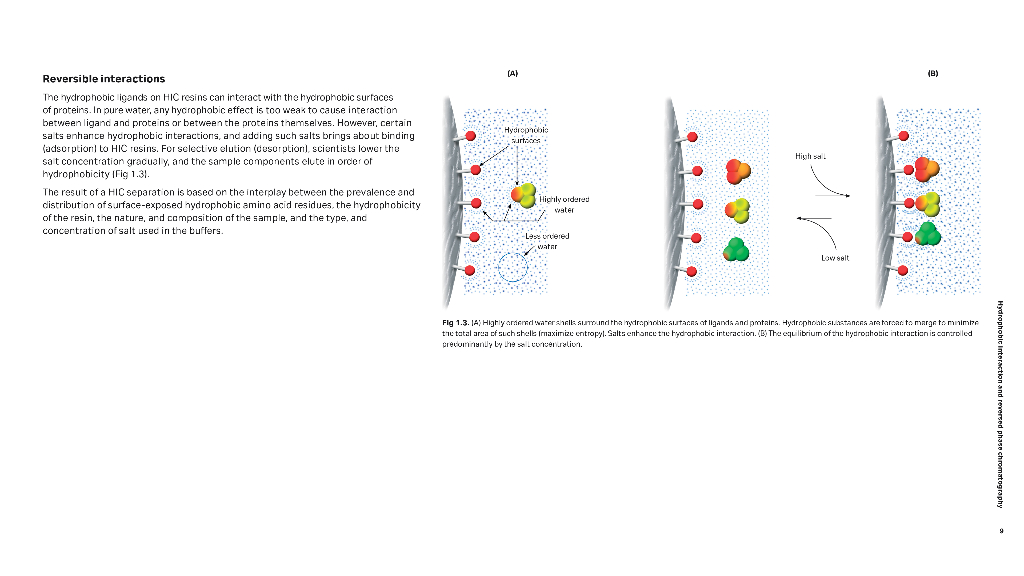 Cytiva思拓凡：疏水层析原理与方法（英文版）_第9页