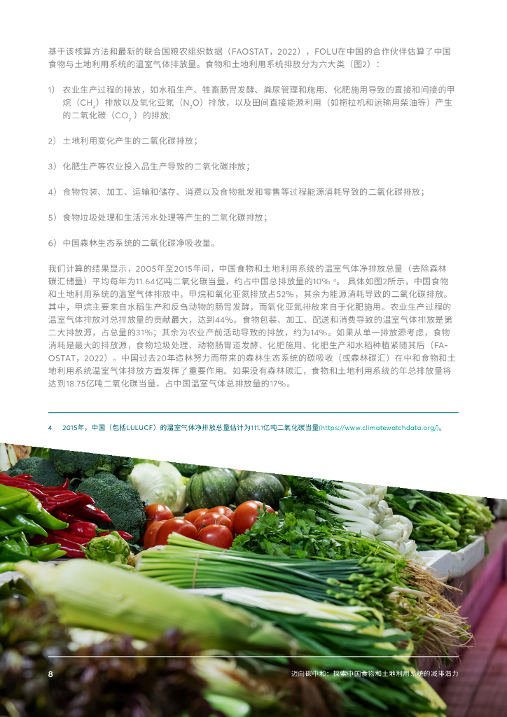 迈向碳中和：探索中国食物和土地利用系统的减排潜力_第10页