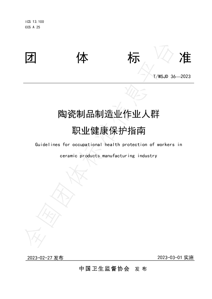 T/WSJD 36-2023 标准预览
