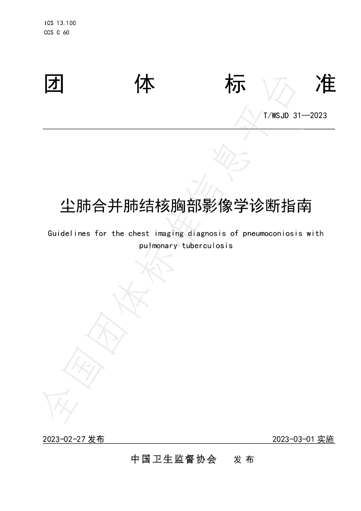 T/WSJD 31-2023 标准预览