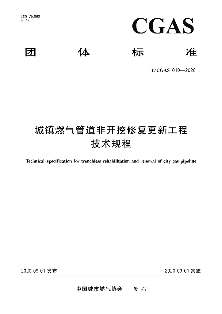 T/CGAS 010-2020 标准预览