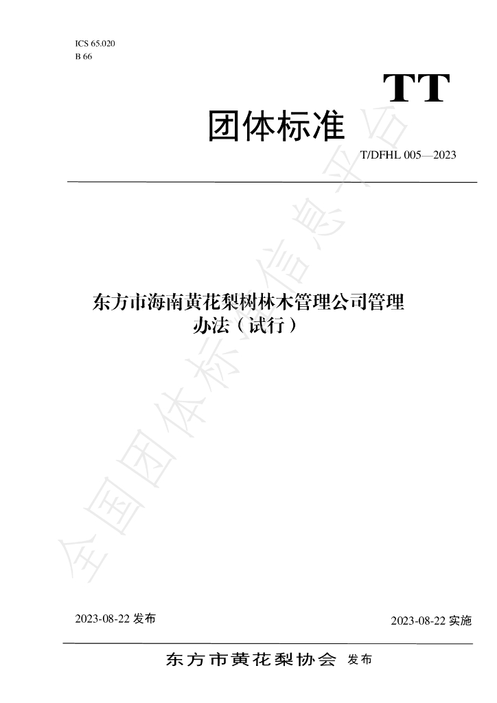 T/DFHL 005-2023 标准预览