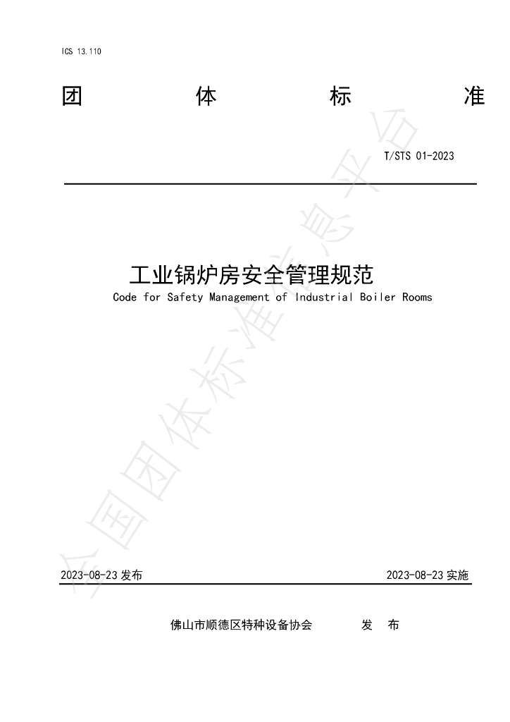 T/STS 01-2023 标准预览