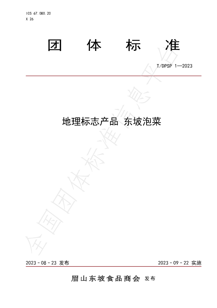 T/DPSP 1-2023 标准预览