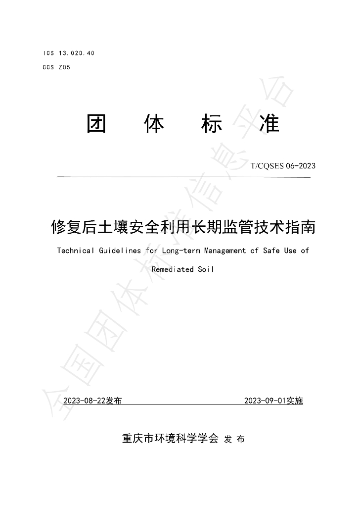 T/CQSES 06-2023 标准预览
