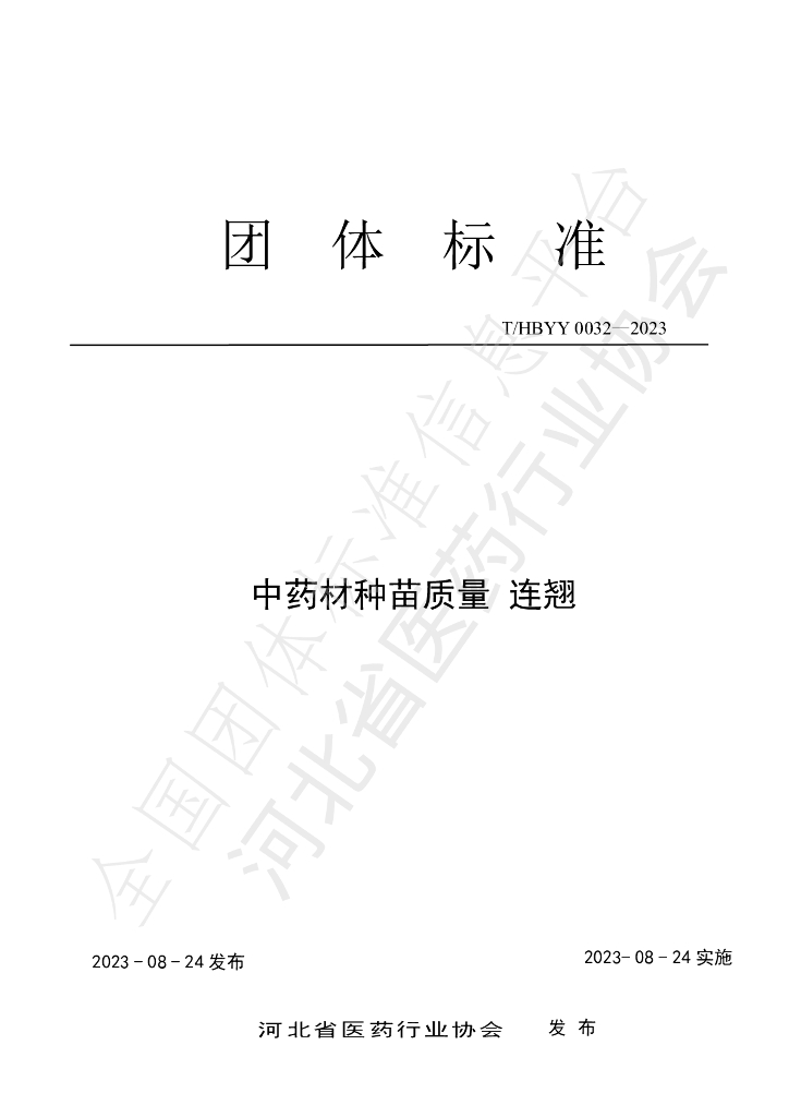T/HBYY 0032-2023 标准预览